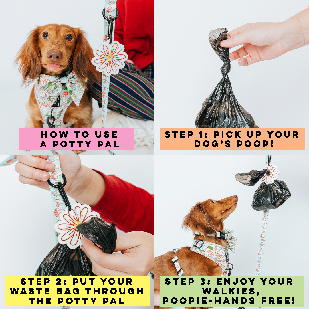 Potty Pal - Dachshund
