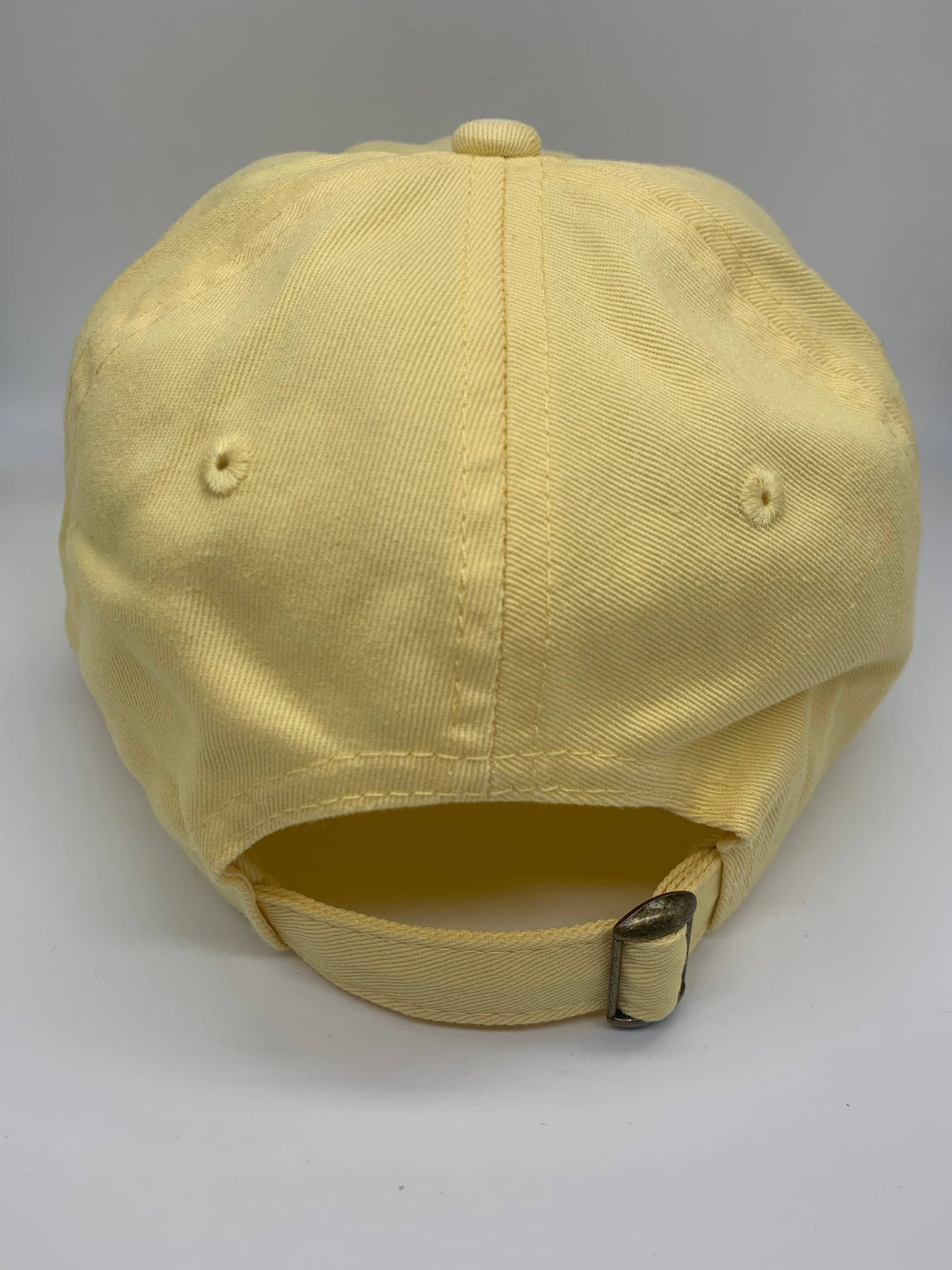 Dog Vibes Only Hat - Blue Stitch