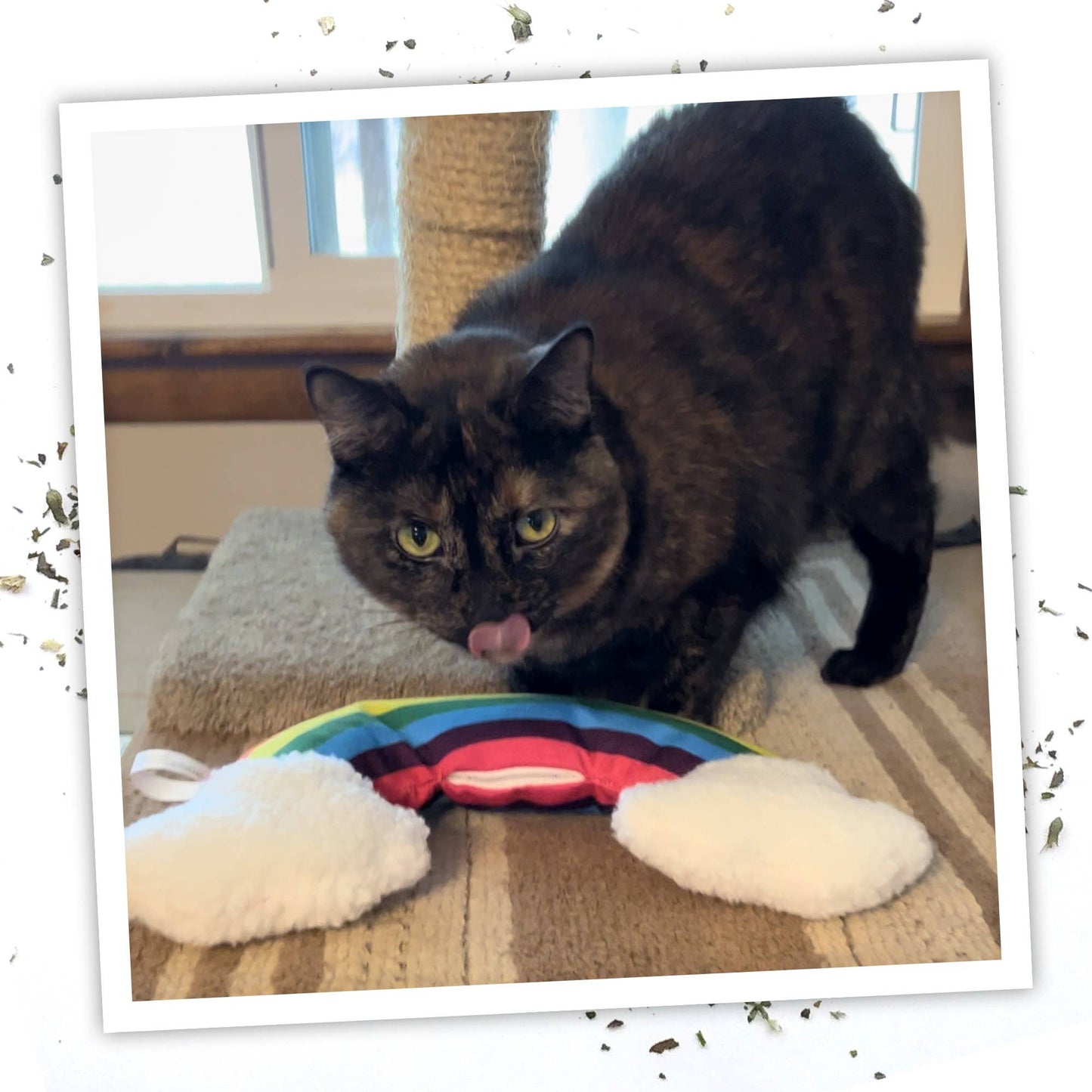 Meowijuana Get "Kickin'" - Rainbow Kicker Cat Toy