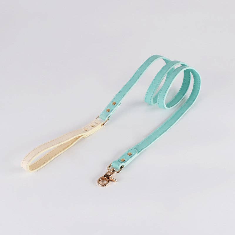 Loofie - Colorful Leather Dog Leash