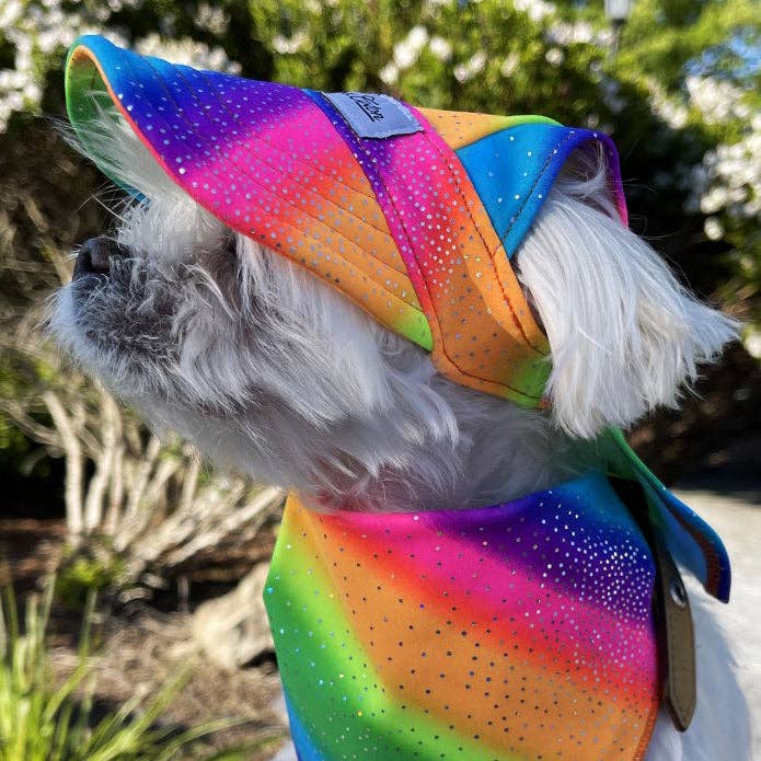 Cooling Dog Hat with UPF50+ - Black Light Activator - Rainbow Sparkle