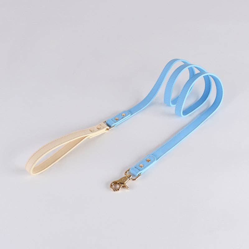 Loofie - Colorful Leather Dog Leash