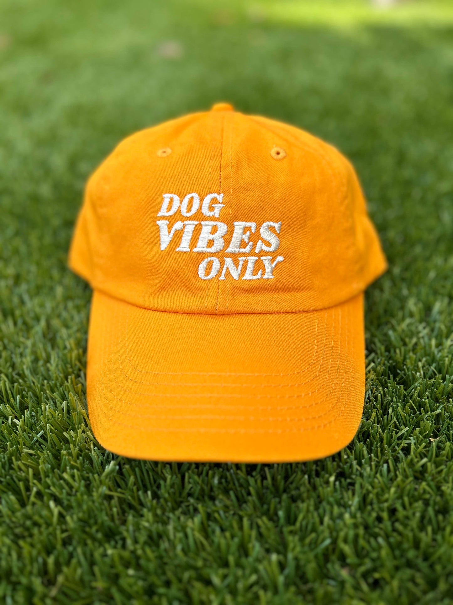 Dog Vibes Only Hat - Cream Stitch