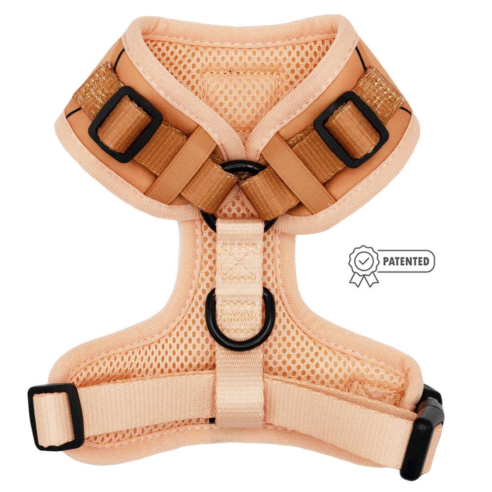 Dog Adjustable Harness - Muscle Bod