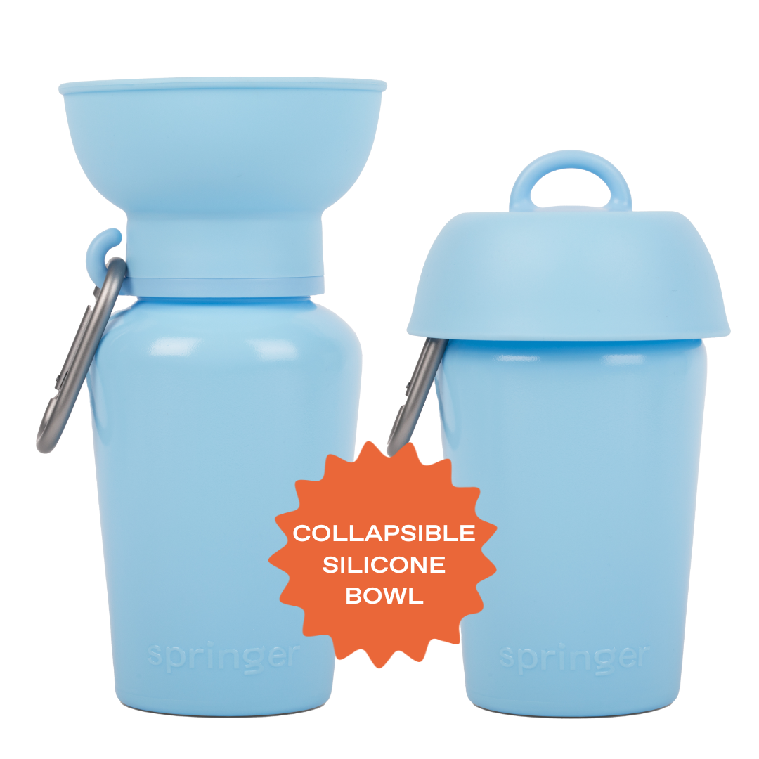 Dog Travel Water Bottle, 20oz, Flip Silicone (Mixed 12 Pack)