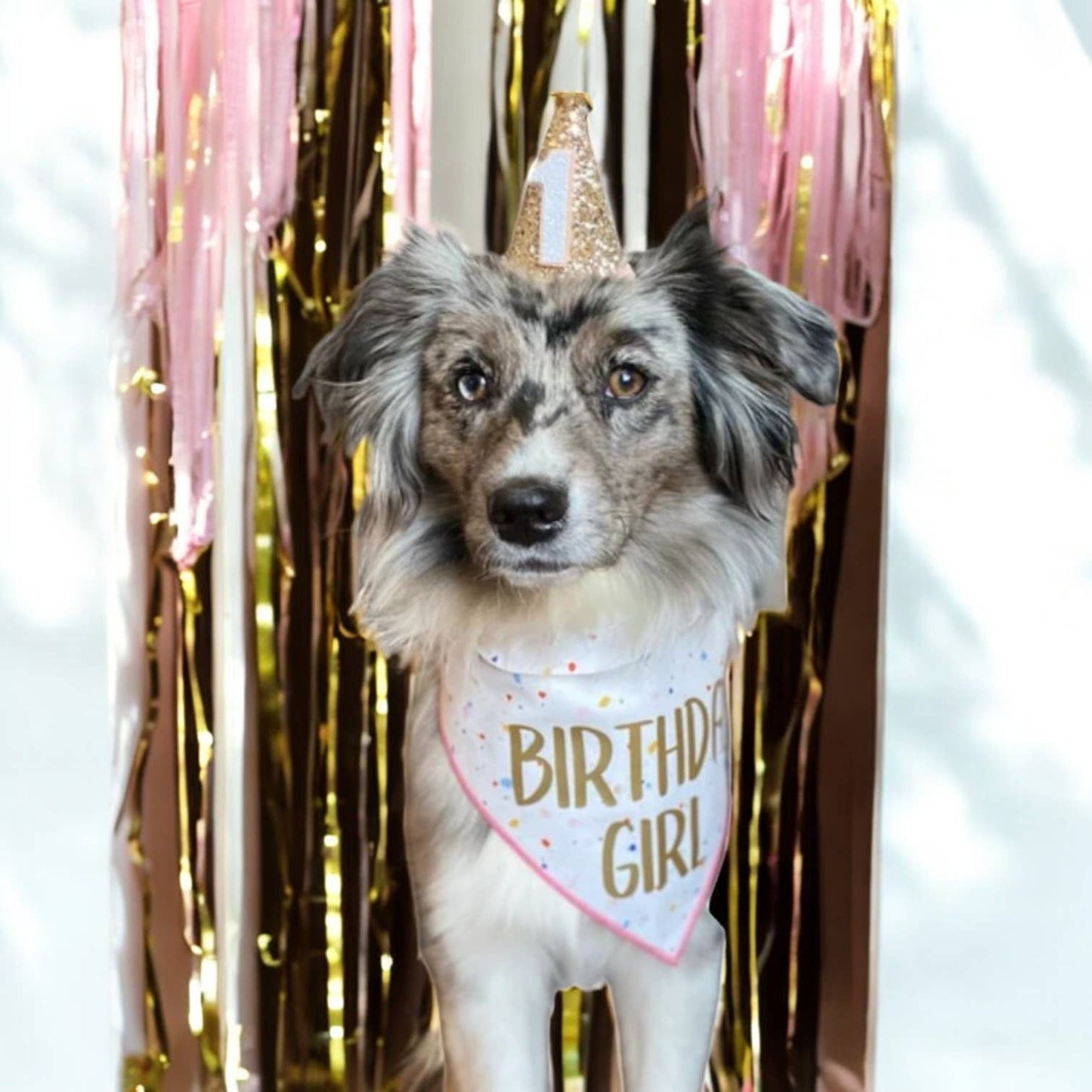 "Confetti" Birthday Girl and Birthday Boy Dog Bandana