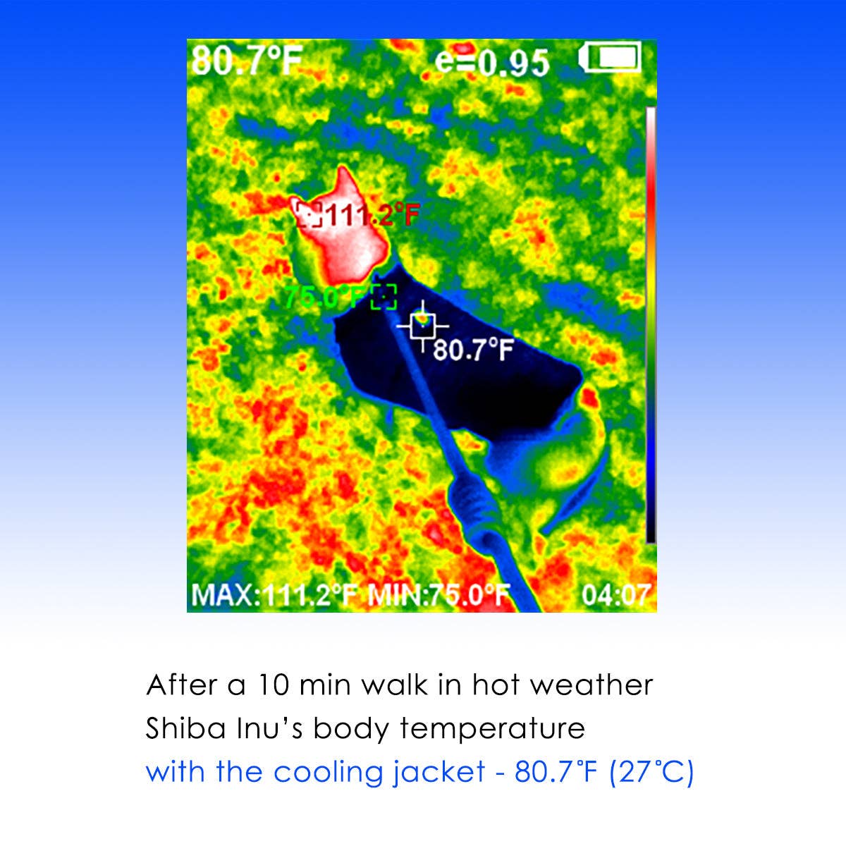 LCB Pineapple Cooling Jacket