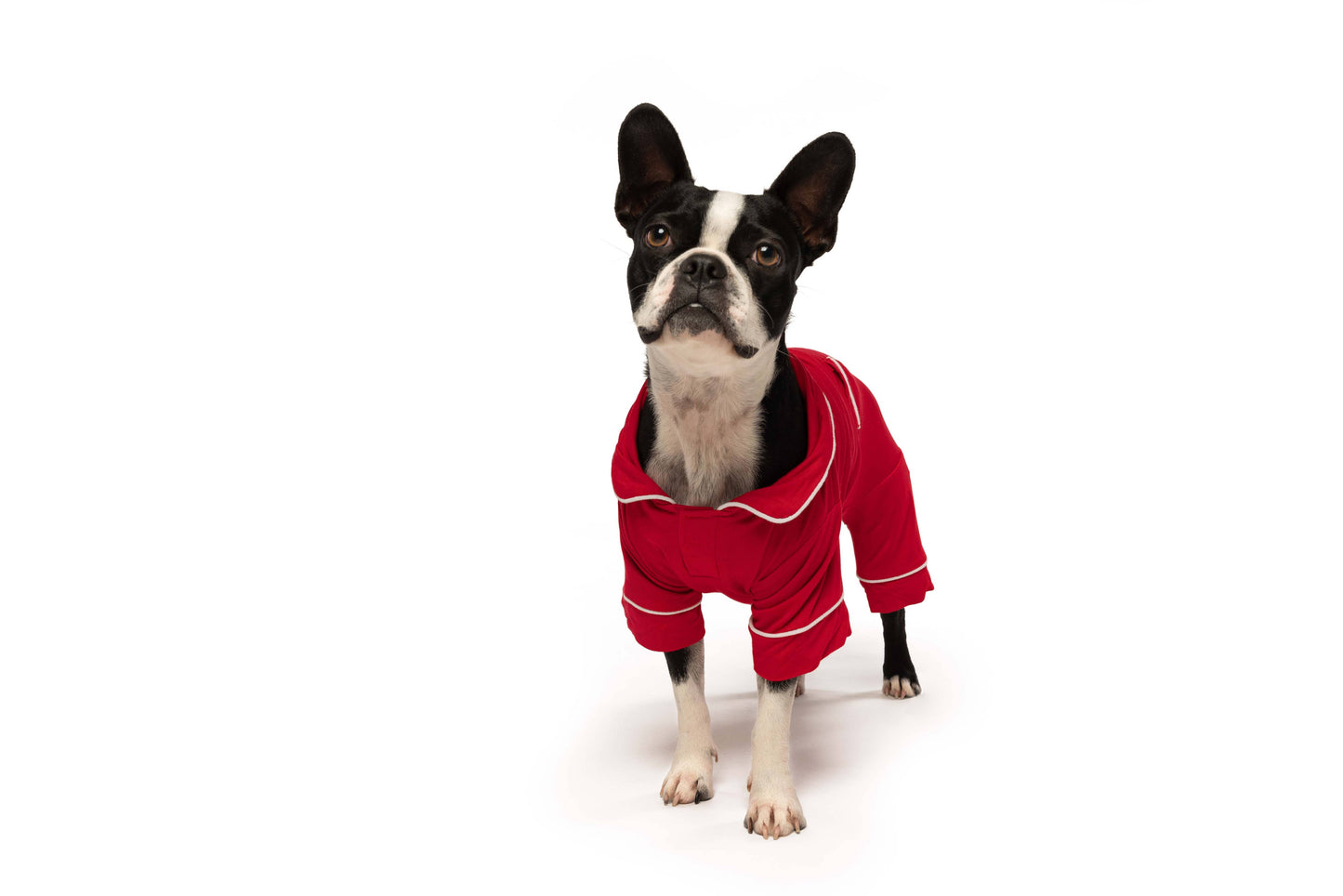 Red Modal Valentine's Day Dog Pajamas