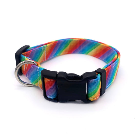 Rainbow Dog Collar
