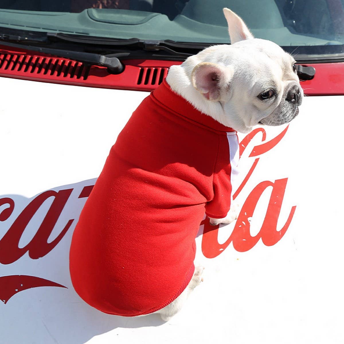 Letter Print Pet Hoodie