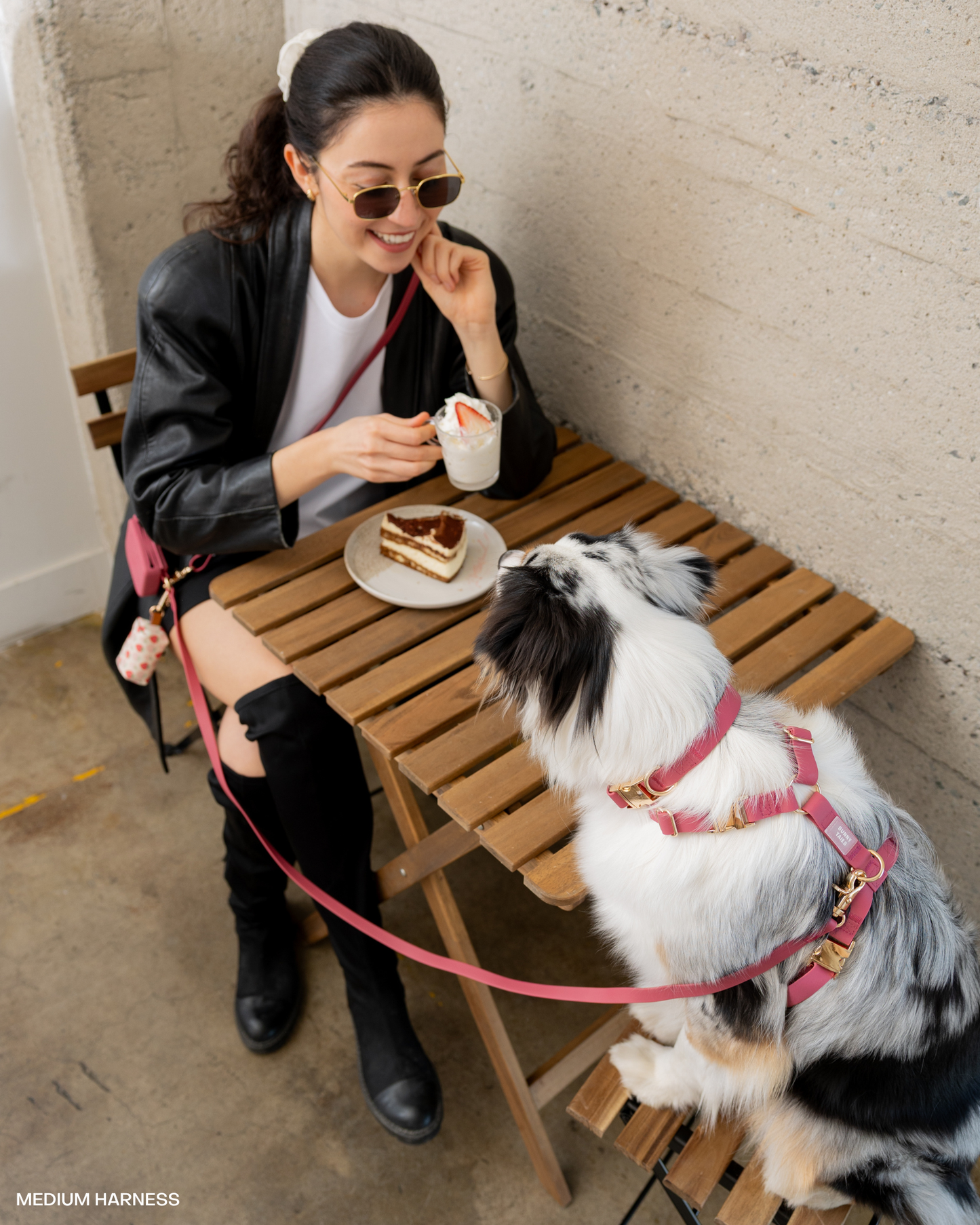 Burgundy 4-in-1 Convertible Hands Free Cloud Dog Leash