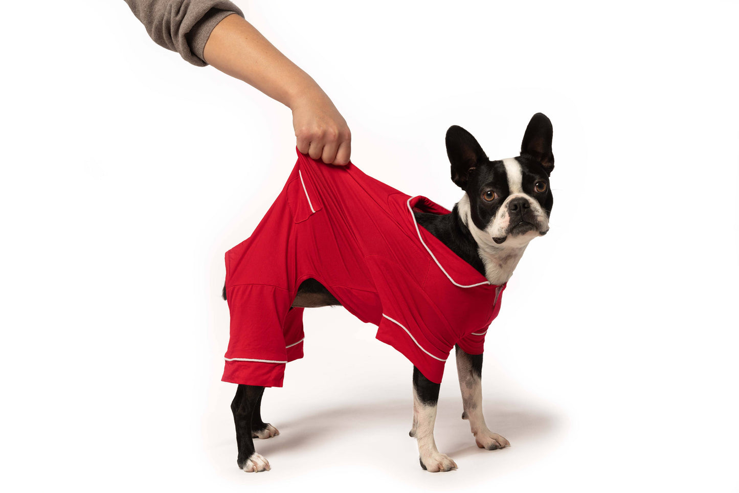 Red Modal Valentine's Day Dog Pajamas