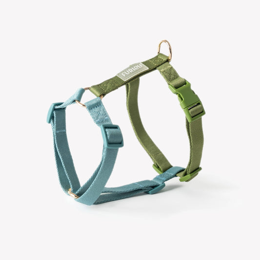 Blue + Green - Strap Dog Harness