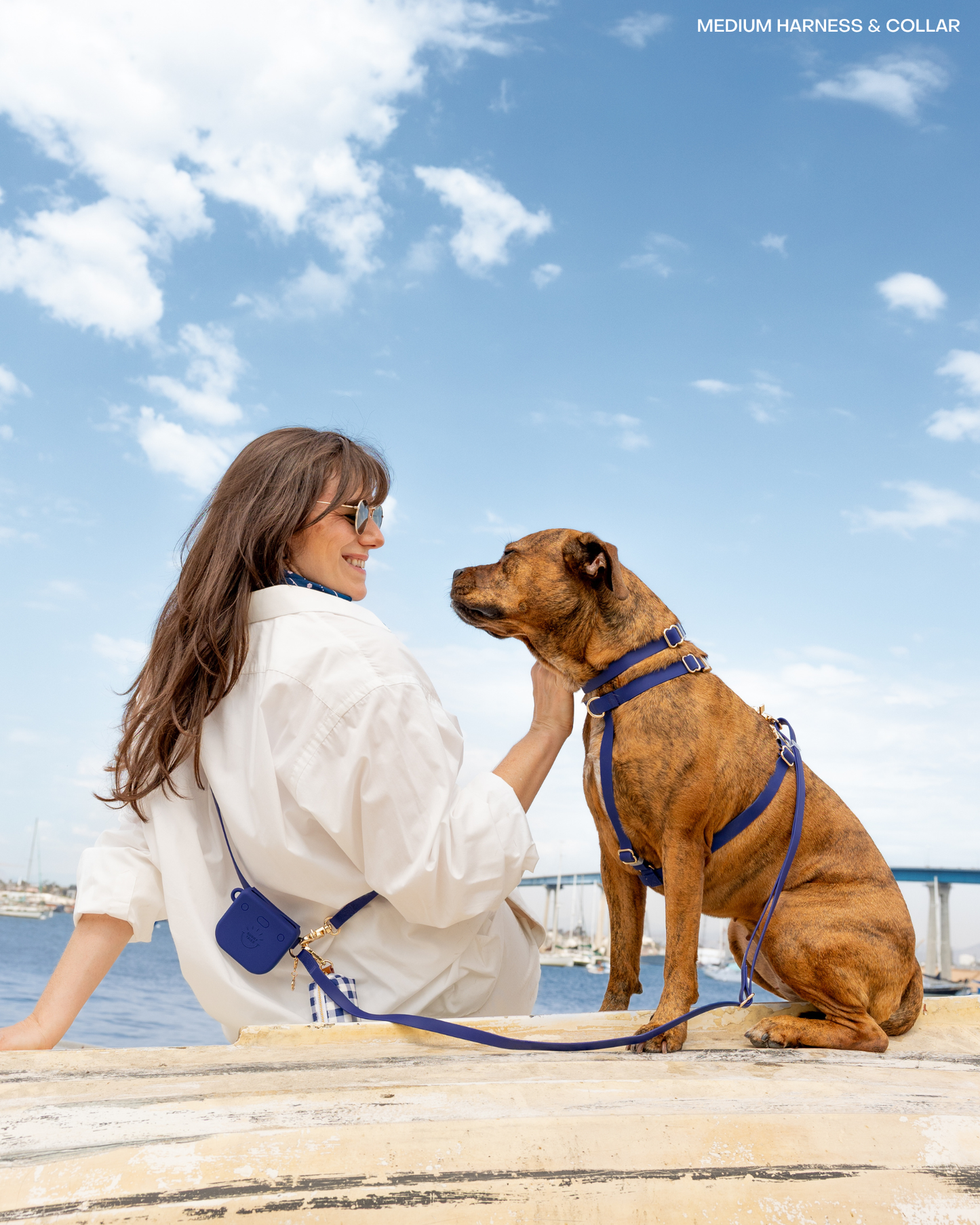 Navy 4-in-1 Convertible Hands Free Cloud Dog Leash
