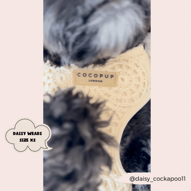 Festival Crochet Adjustable Neck Harness