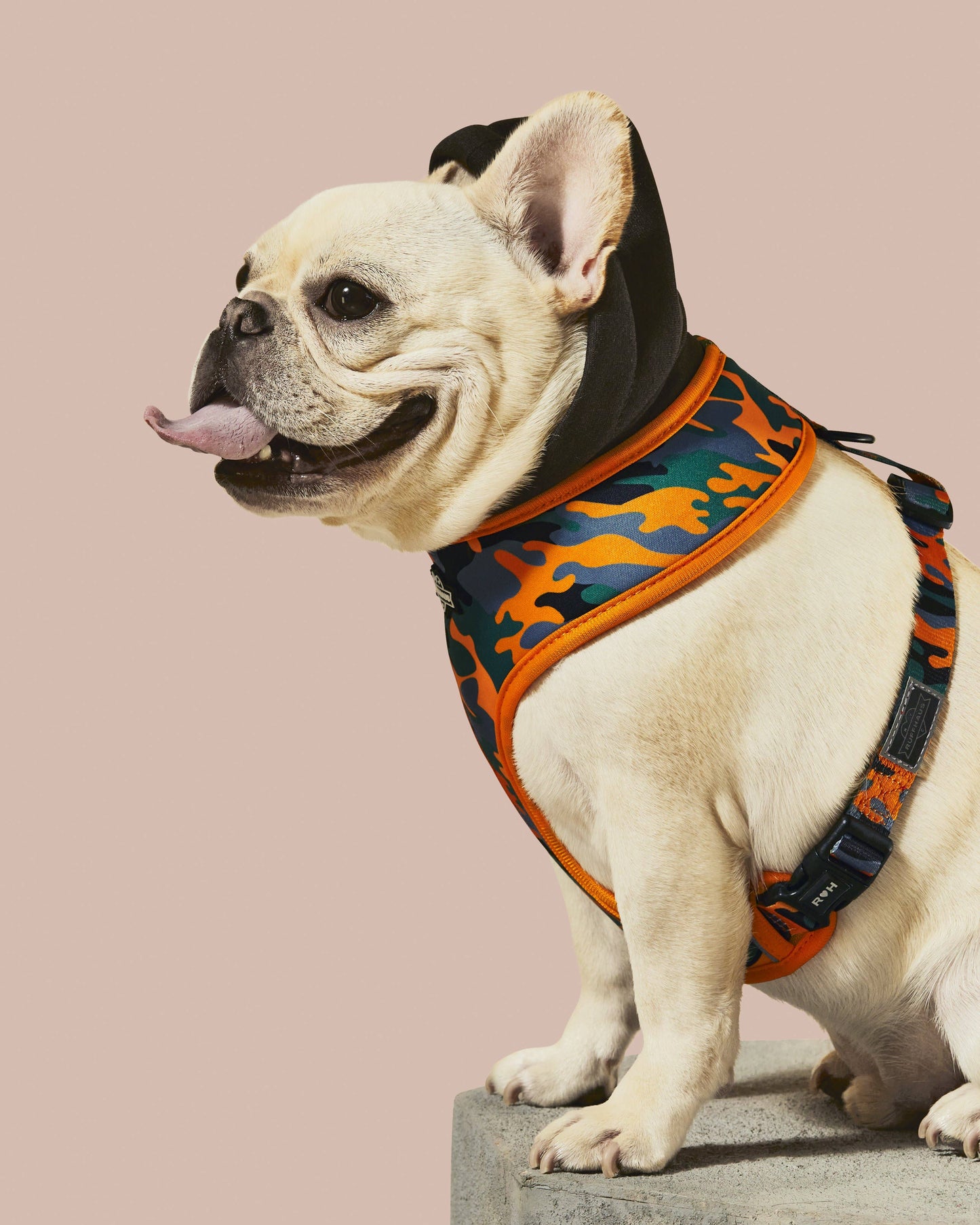Ruff Huas - Camo QT Orange Hoodie Harness