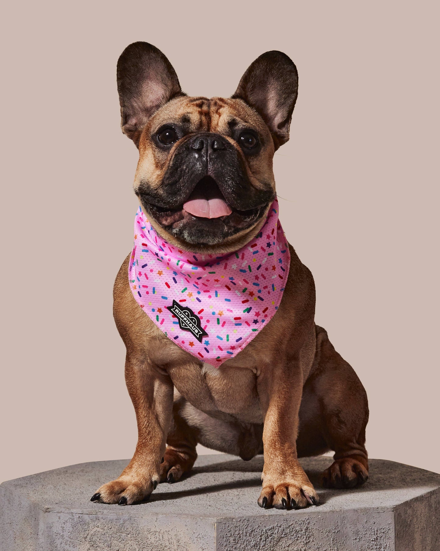 Sprinkle Me Pink Cooling Bandana - Dog Birthday