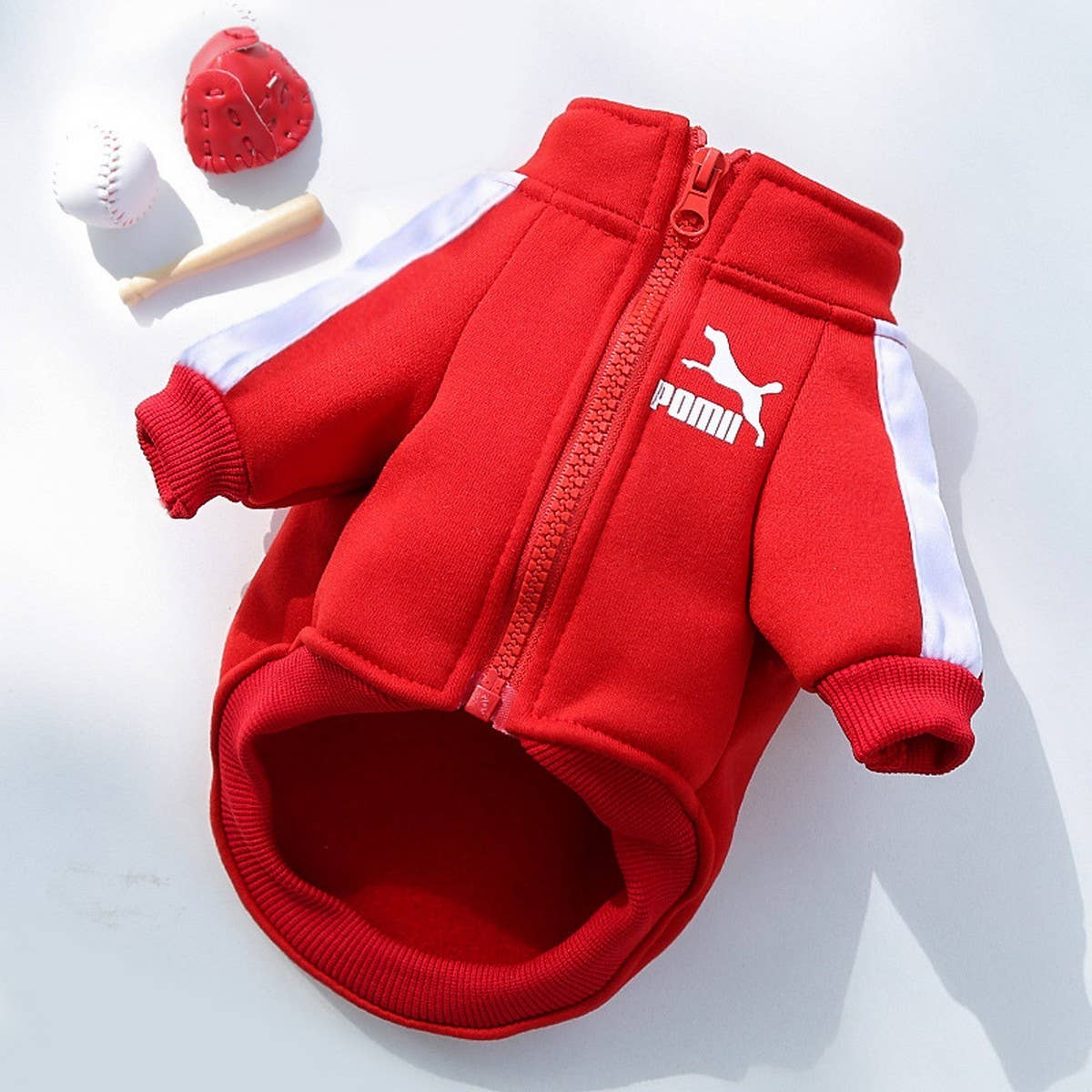 Letter Print Pet Hoodie