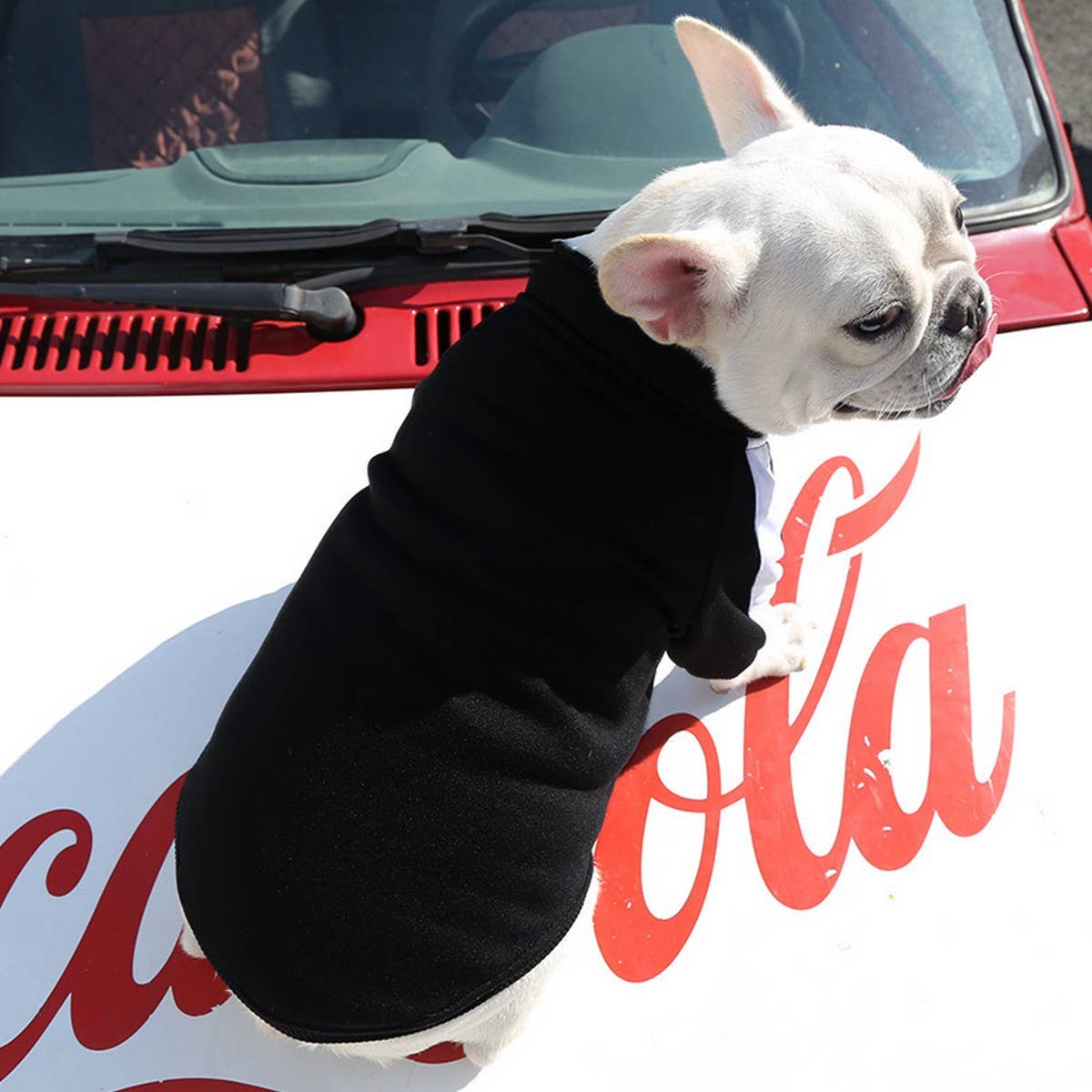 Letter Print Pet Hoodie