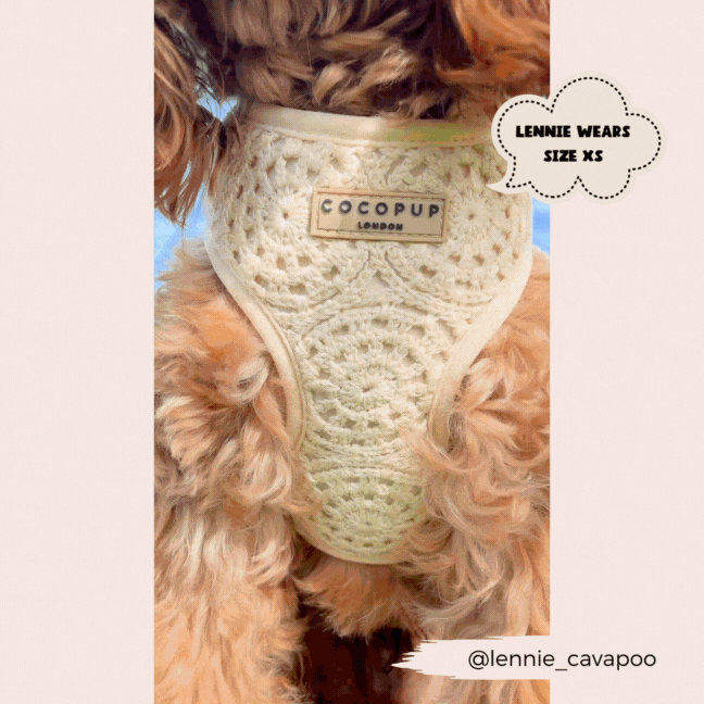 Festival Crochet Adjustable Neck Harness