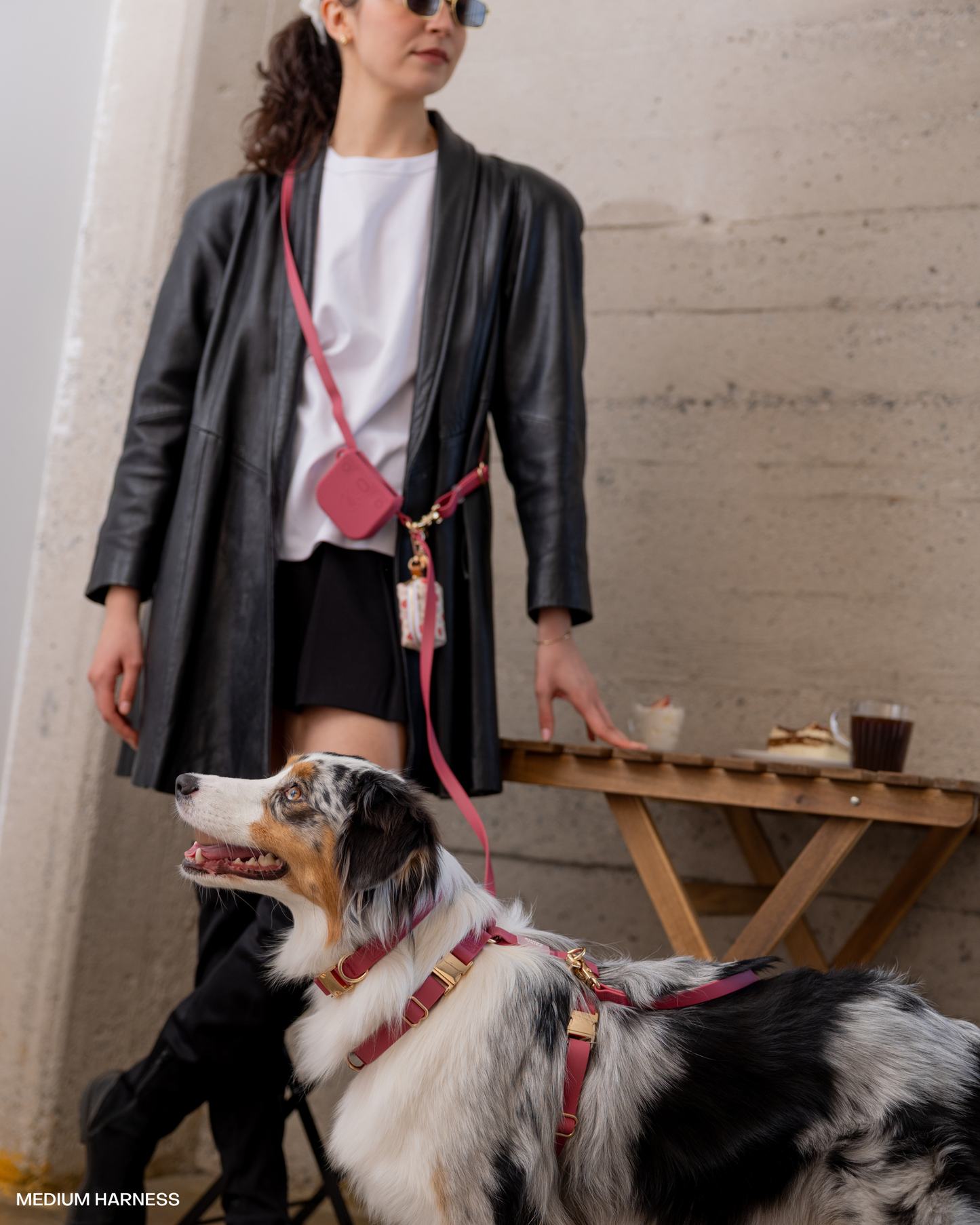 Burgundy 4-in-1 Convertible Hands Free Cloud Dog Leash