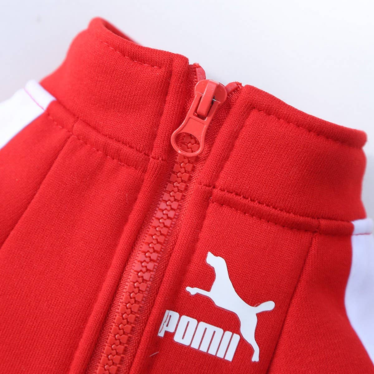 Letter Print Pet Hoodie