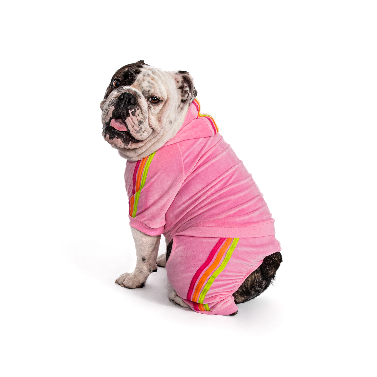 Pink Velour Dog Jogger