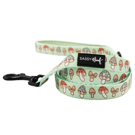 Dog Leash - Shrooms & Blooms (Spring)