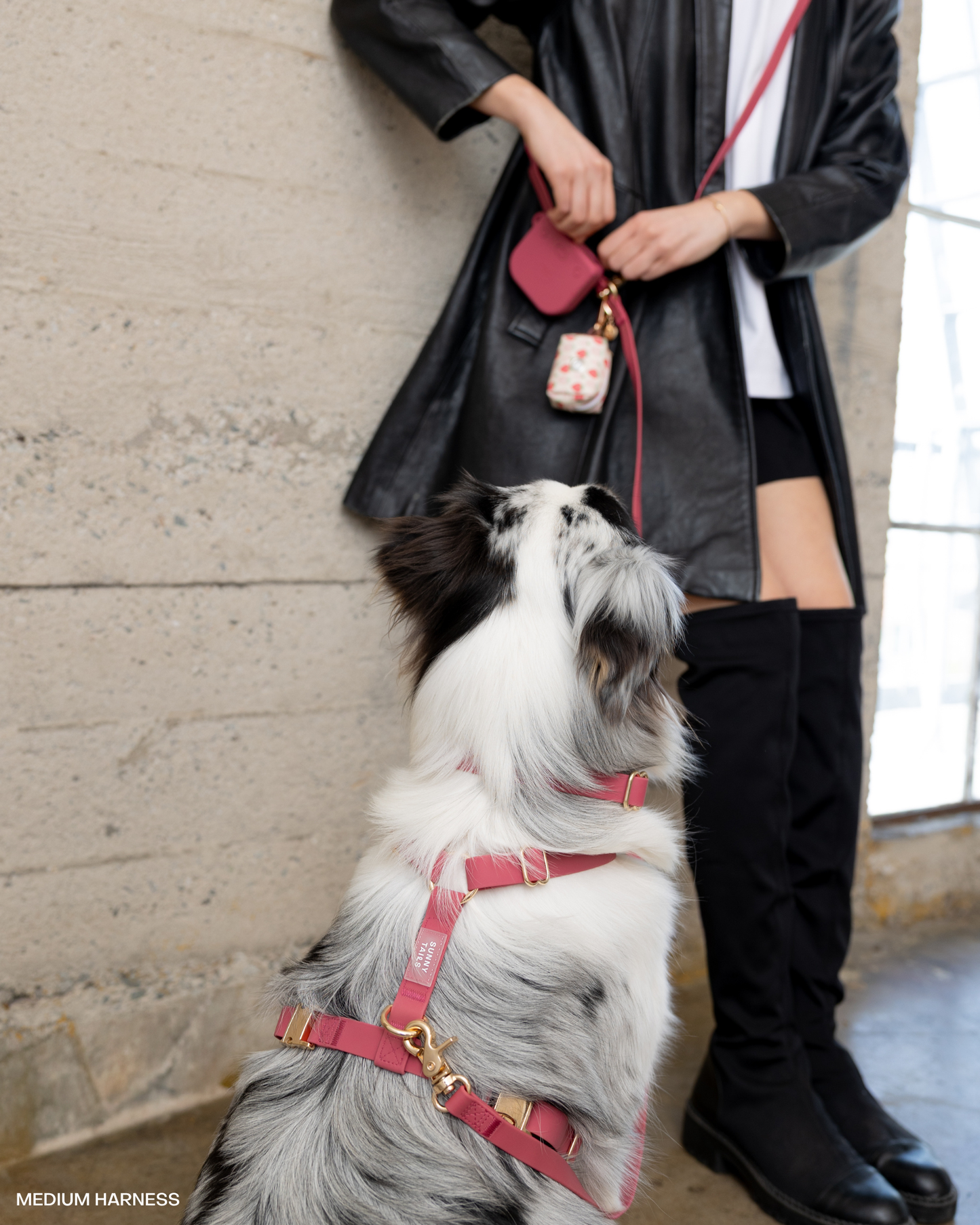 Burgundy 4-in-1 Convertible Hands Free Cloud Dog Leash