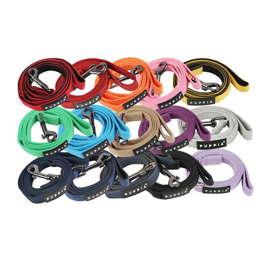 Two Tone Dog Leash