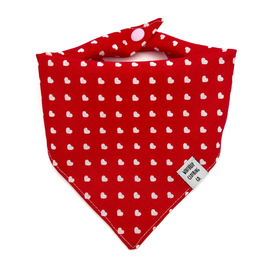 Valentine's Day Hearts Dog Bandana