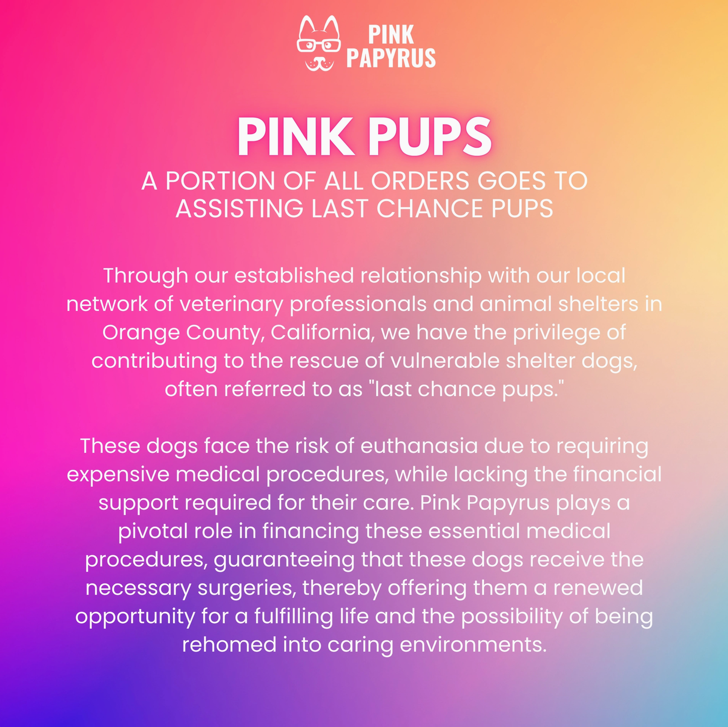 Roxy Hands-Free Leash | Multifunctional Dog Leash