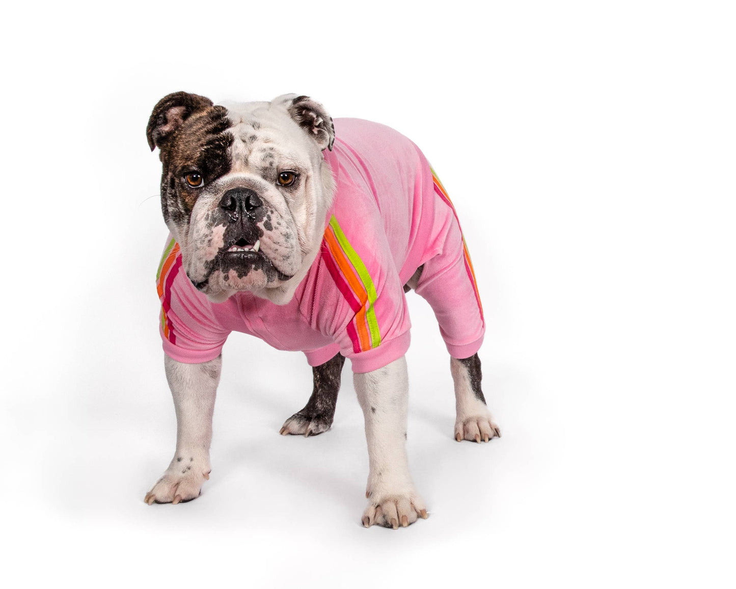 Pink Velour Dog Jogger