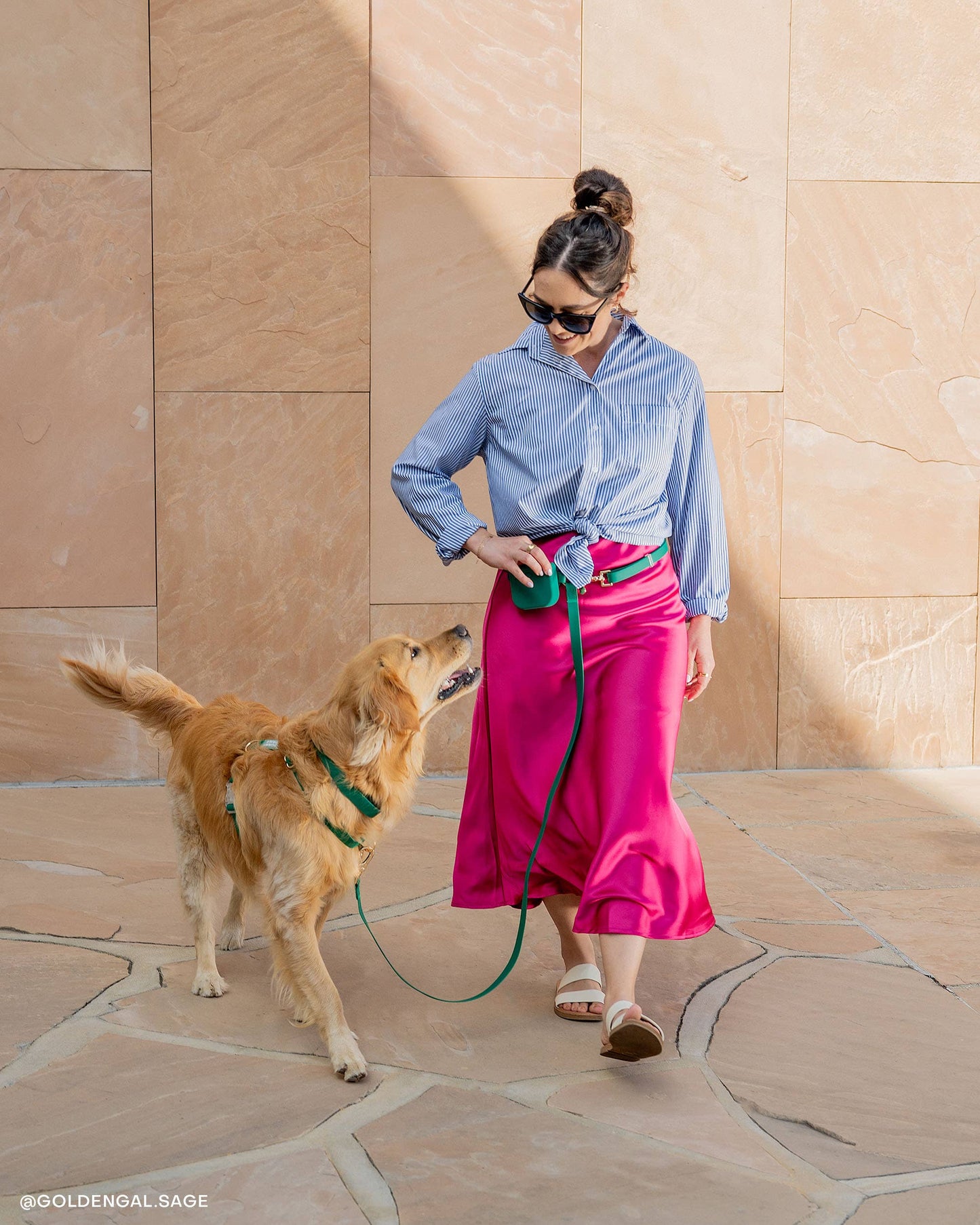 Meadow Green 4-in-1 Convertible Hands Free Cloud Dog Leash