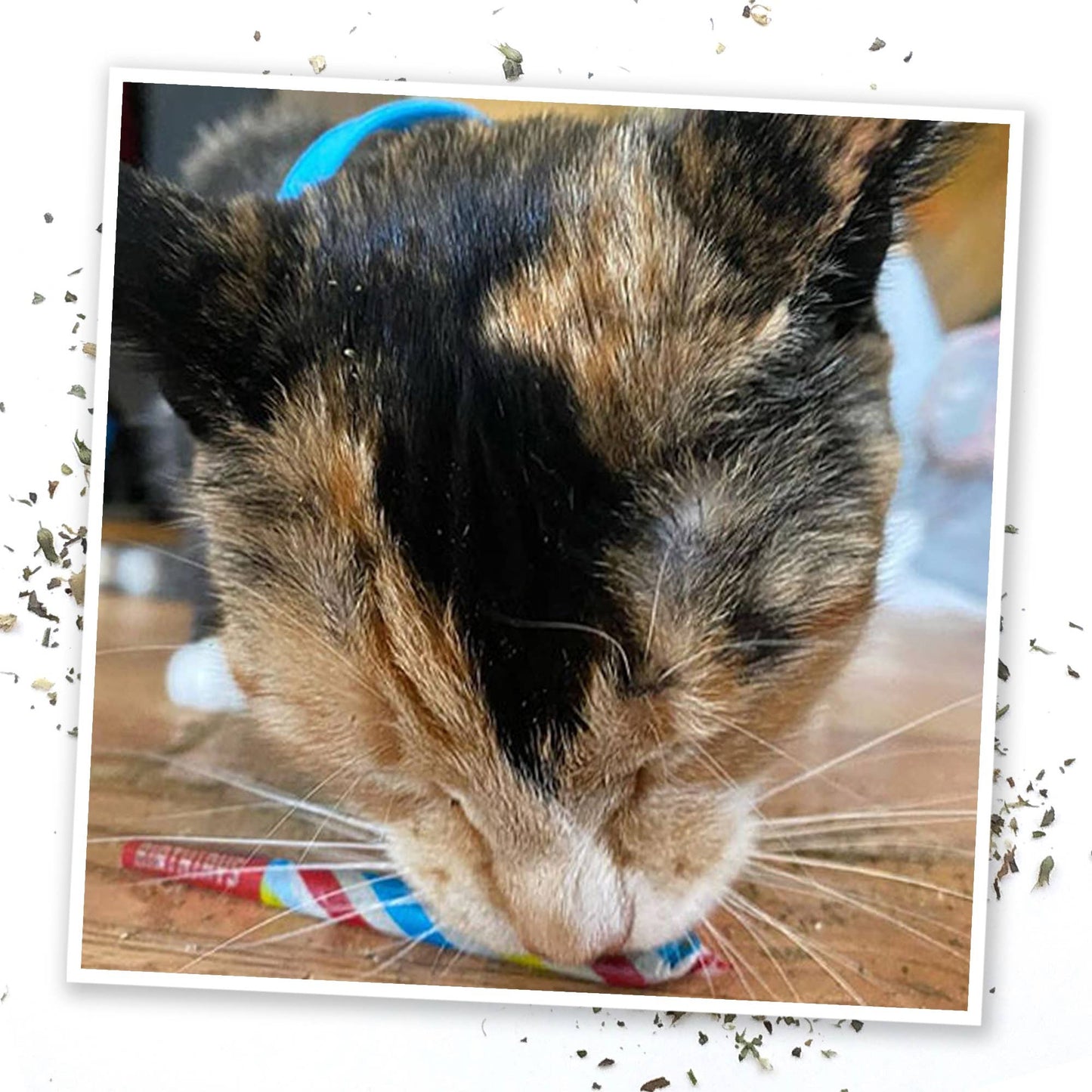 Meowijuana Birthjays - Party Sized Catnip Joints