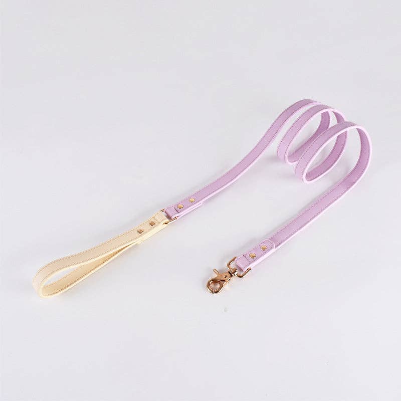 Loofie - Colorful Leather Dog Leash