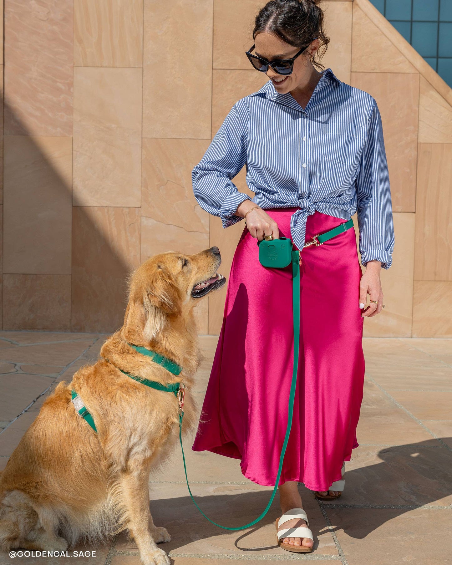 Meadow Green 4-in-1 Convertible Hands Free Cloud Dog Leash