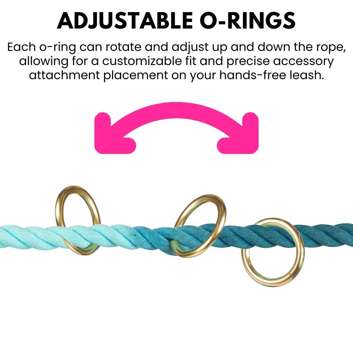 Roxy Hands-Free Leash | Multifunctional Dog Leash