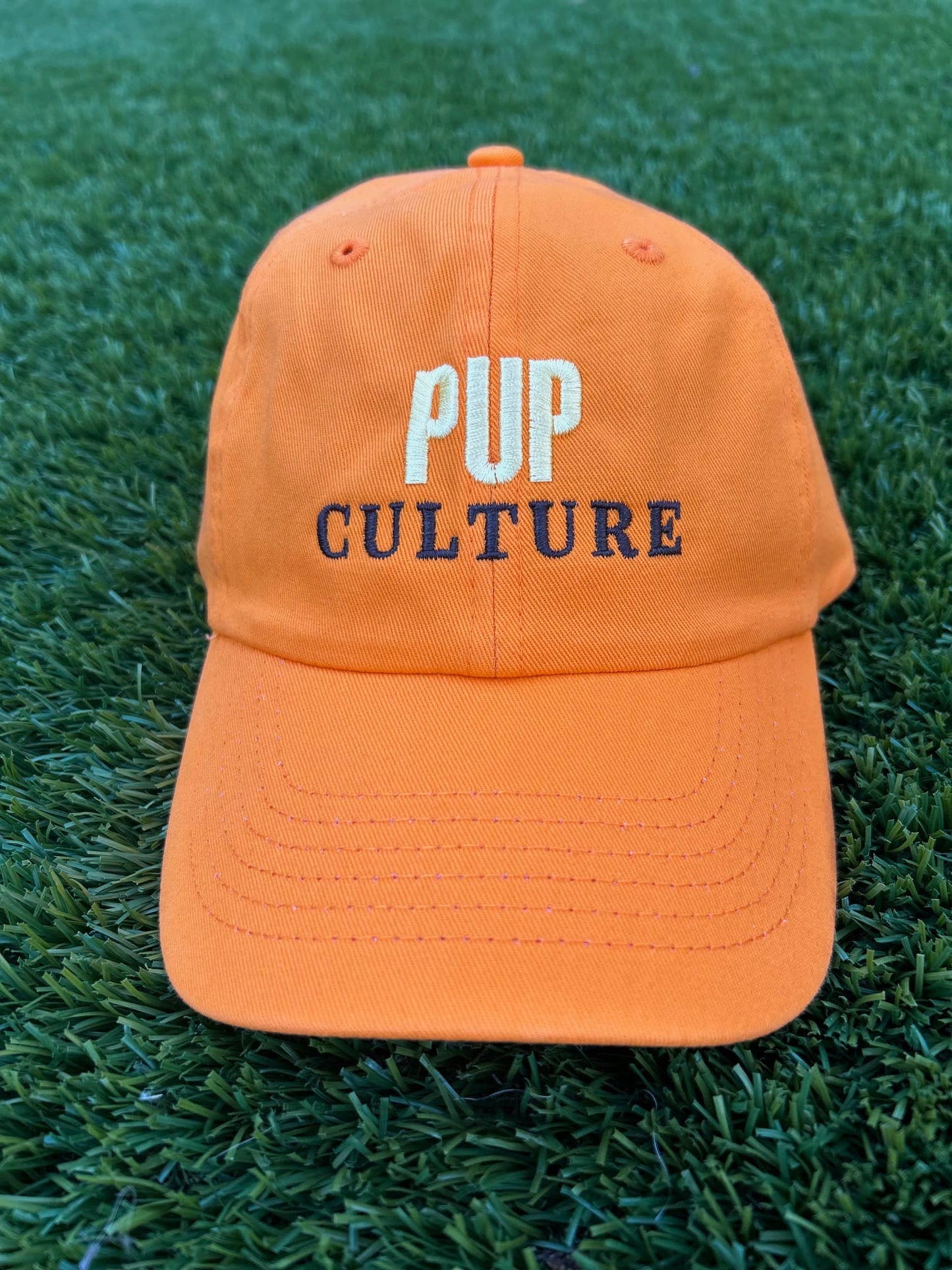 Pup Culture Hat