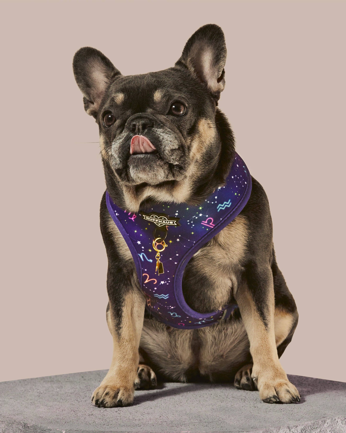 Ruff Haus - Zodiac Drip Reversible Harness