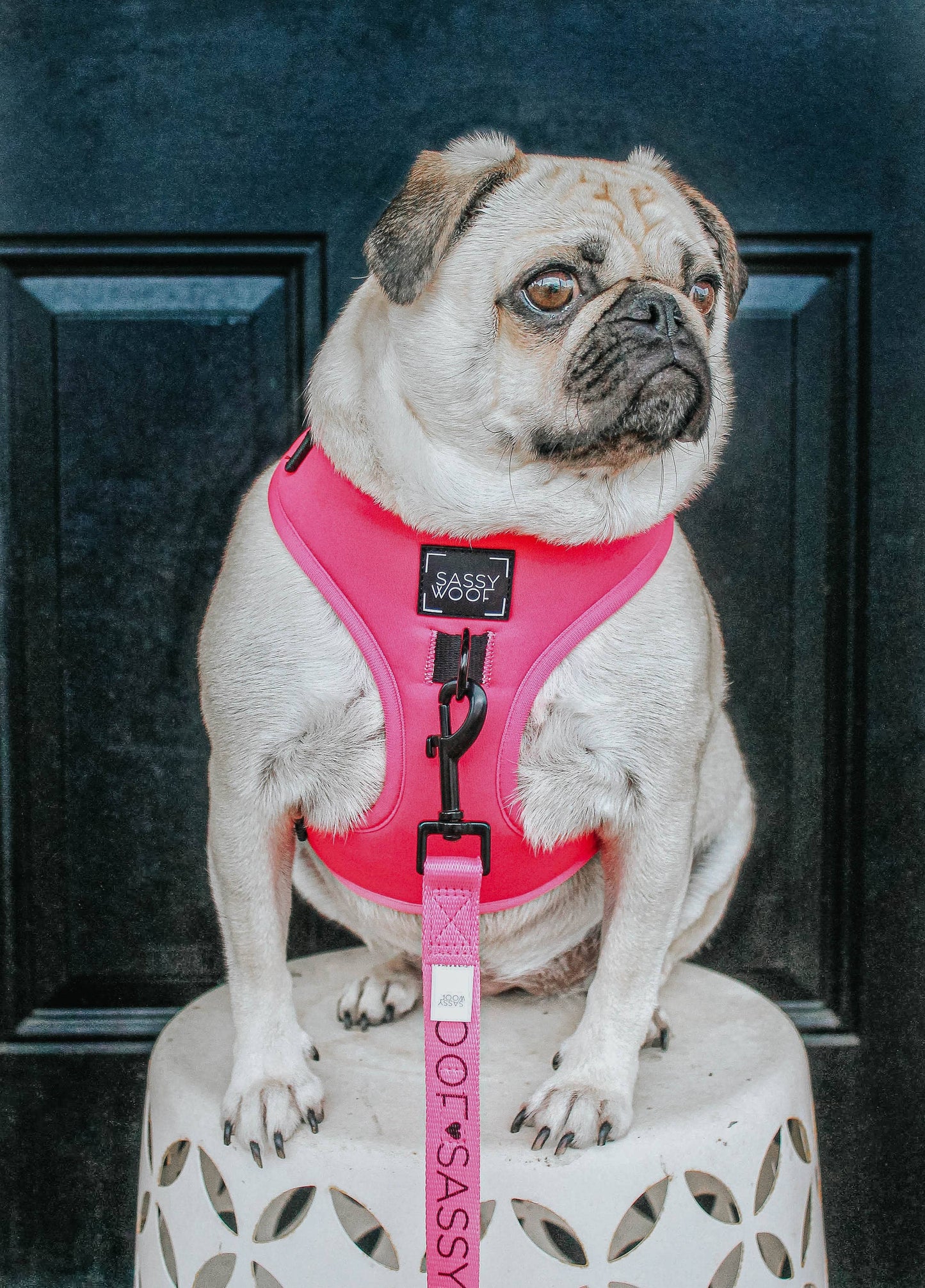 Dog Adjustable Harness - Neon Pink (Mother's Day)