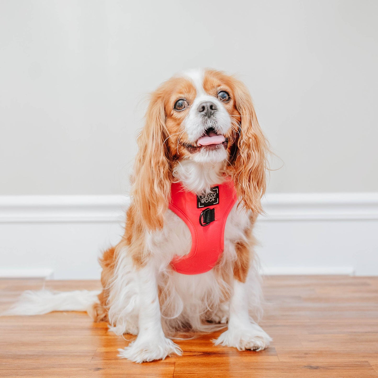Dog Adjustable Harness - Neon Pink (Mother's Day)