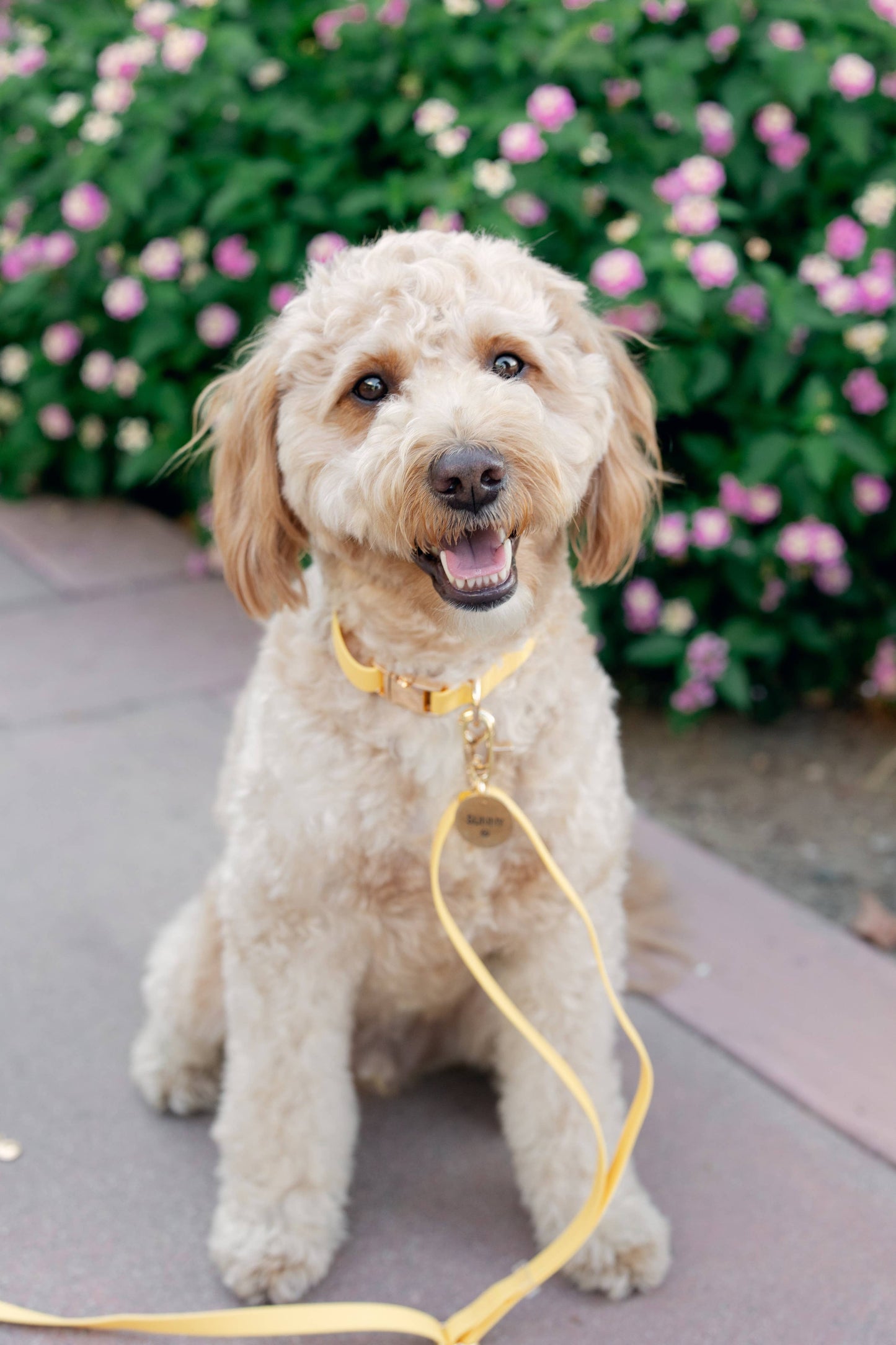 Yellow 4-in-1 Convertible Hands Free Cloud Dog Leash