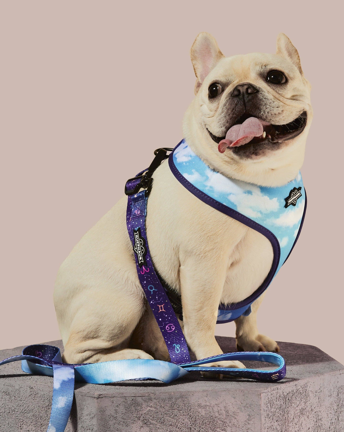 Ruff Haus - Zodiac Drip Reversible Harness