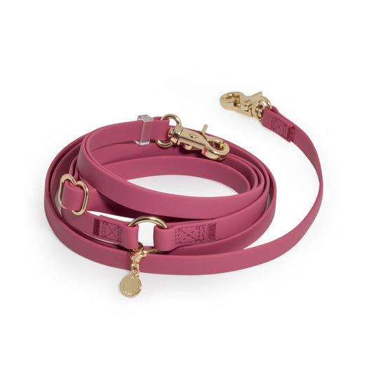 Burgundy 4-in-1 Convertible Hands Free Cloud Dog Leash