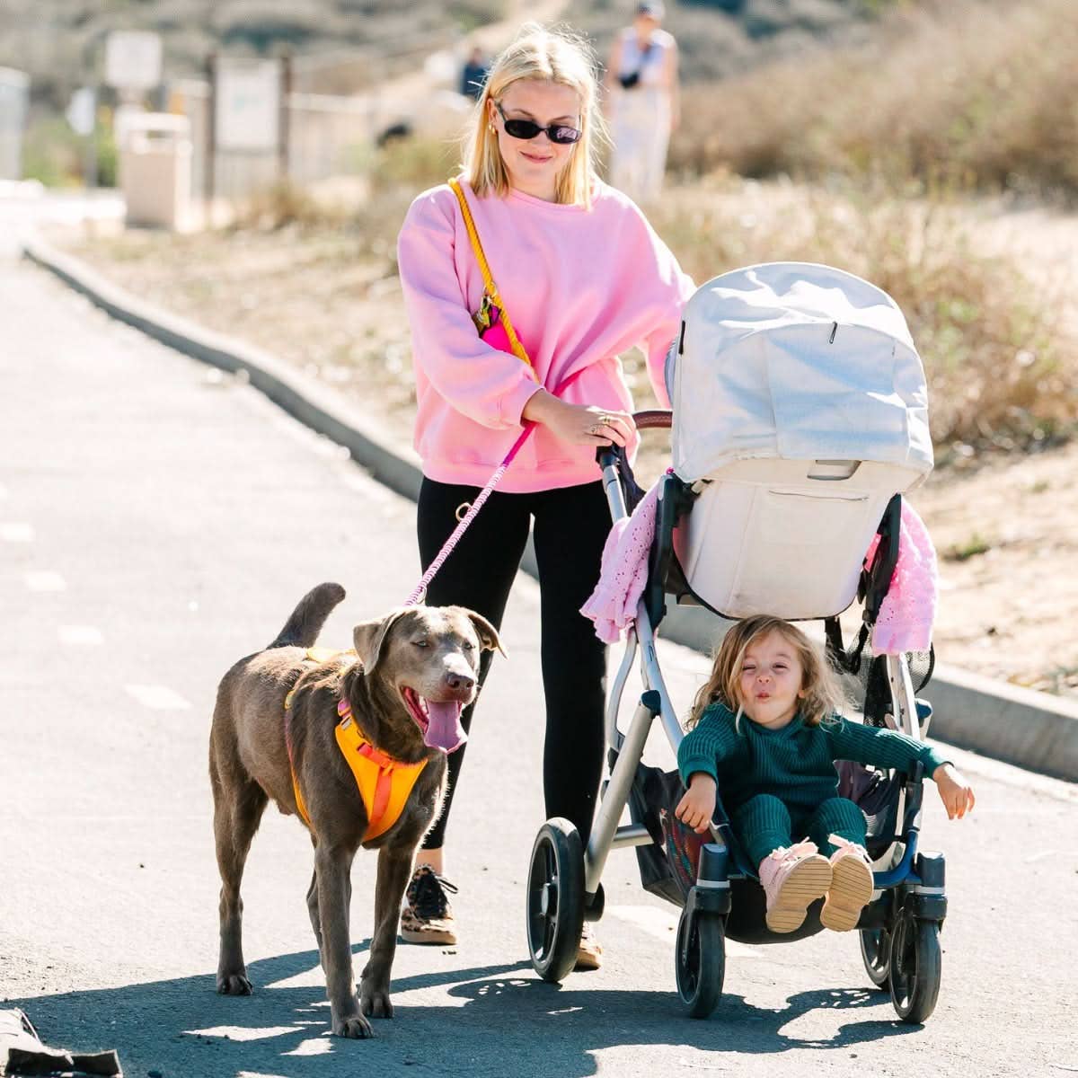 Roxy Hands-Free Leash | Multifunctional Dog Leash