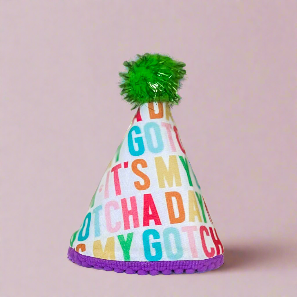 Bright rainbow Gotcha day Pawty hat dog birthday hat