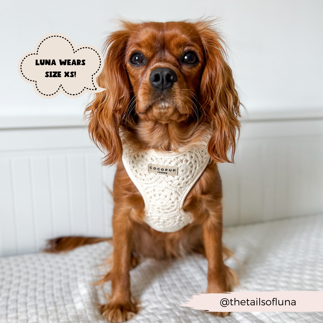Festival Crochet Adjustable Neck Harness