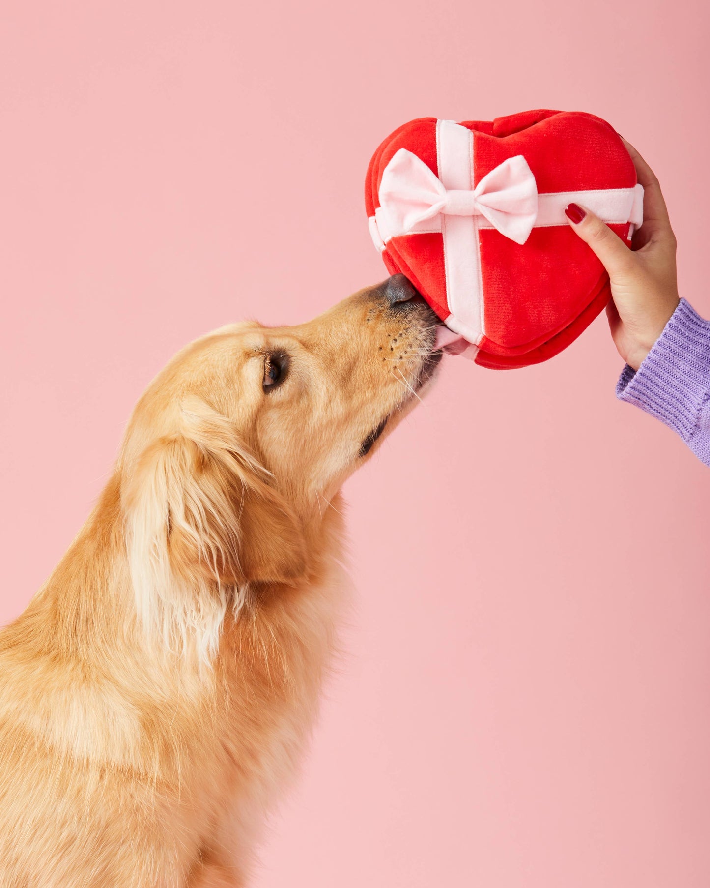 Be My Valentine Interactive Snuffle Dog Toy