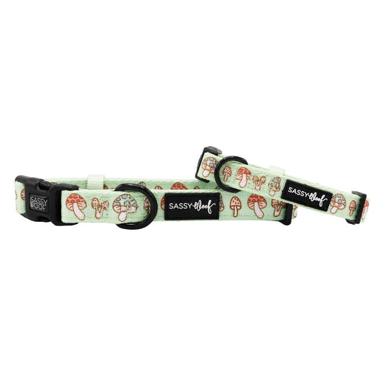 Dog Collar - Shrooms & Blooms (Spring)